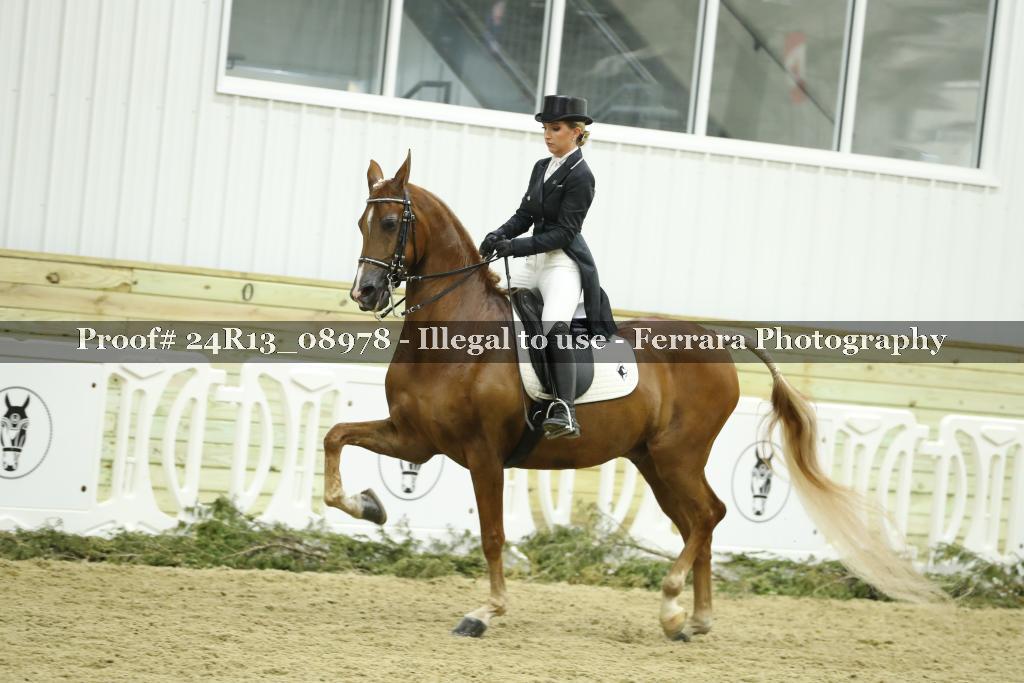 Proof 24R13_08978