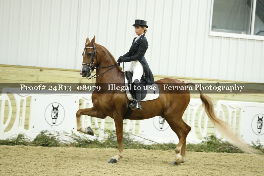 Proof 24R13_08979