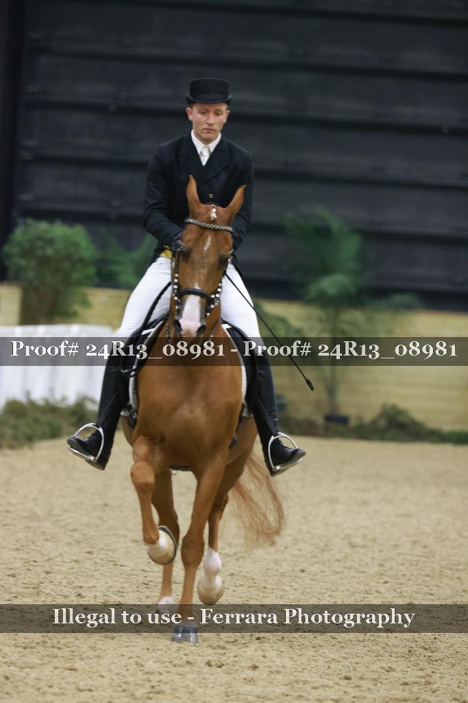 Proof 24R13_08981