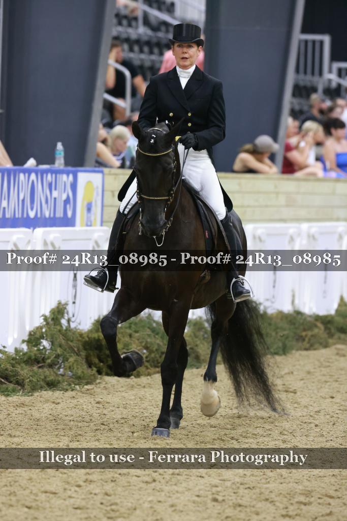 Proof 24R13_08985
