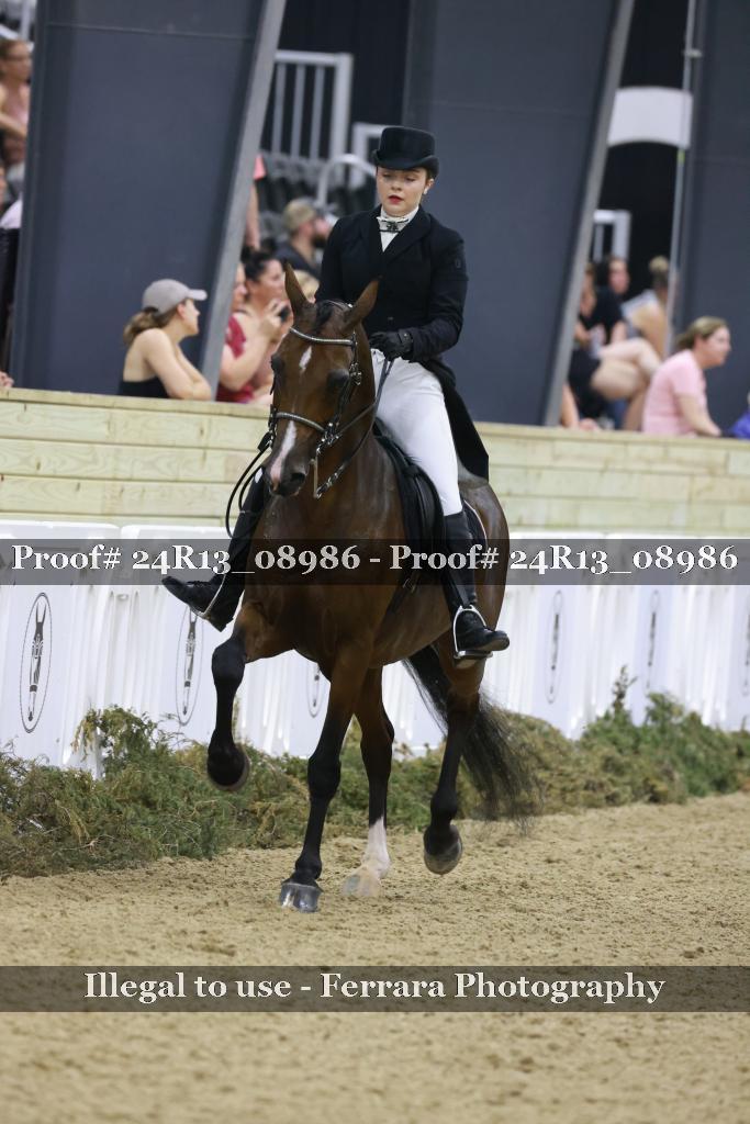 Proof 24R13_08986