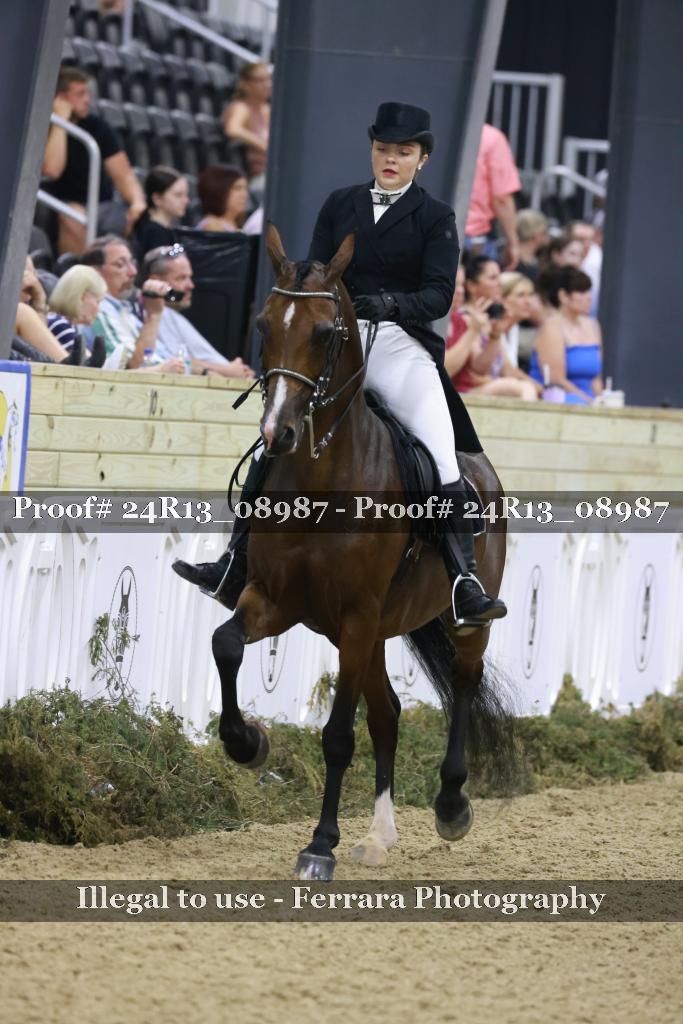 Proof 24R13_08987