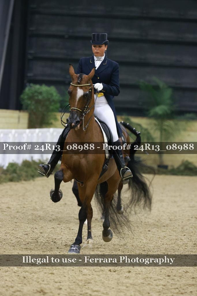 Proof 24R13_08988