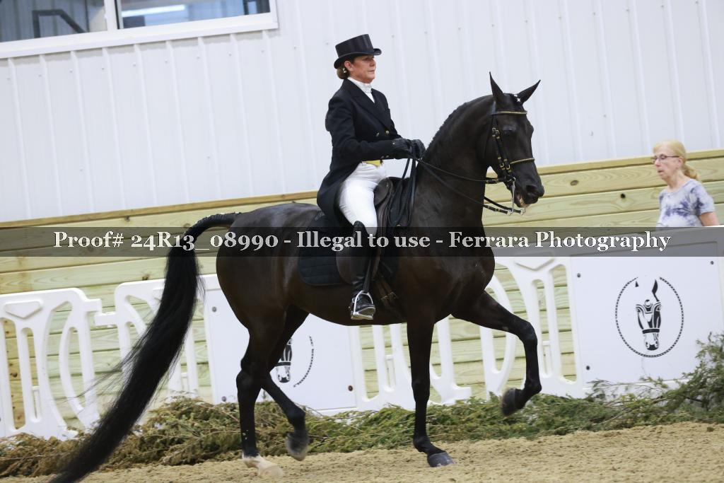 Proof 24R13_08990