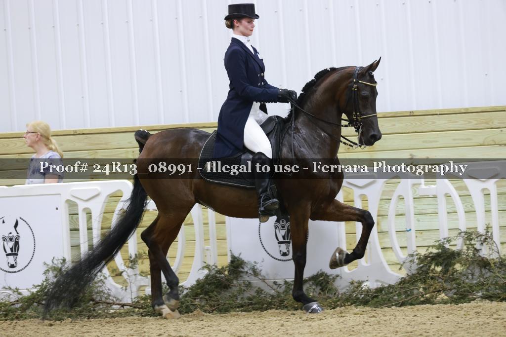 Proof 24R13_08991