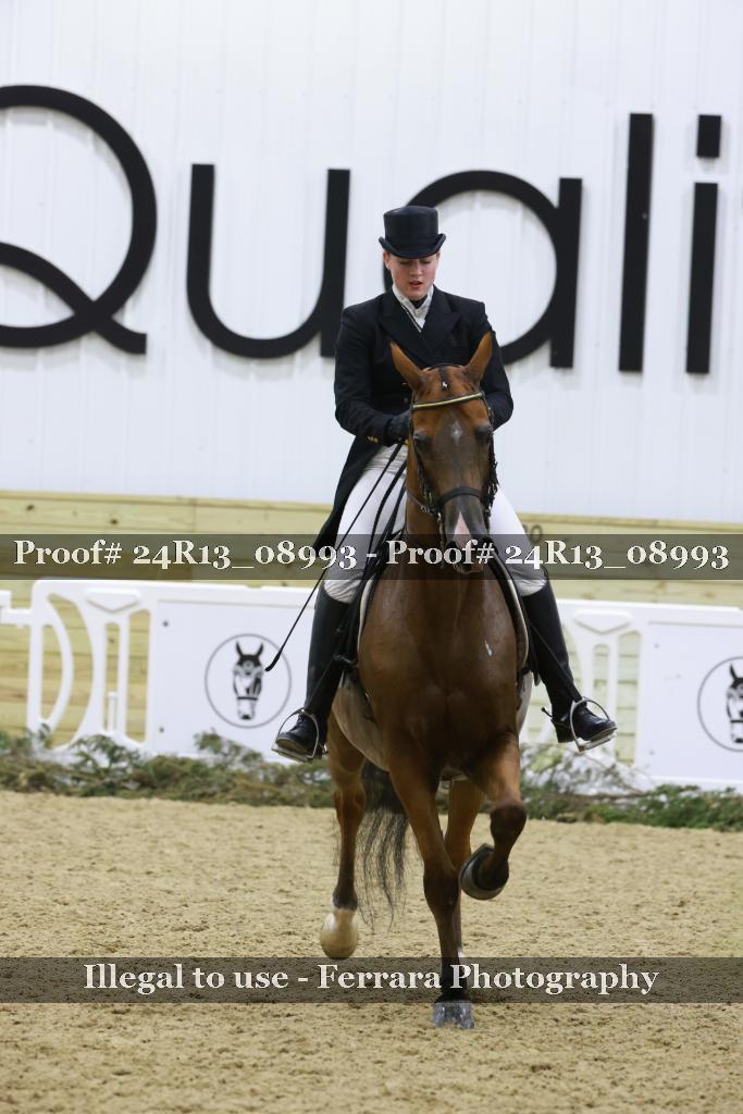 Proof 24R13_08993