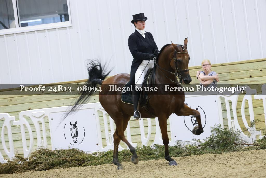 Proof 24R13_08994