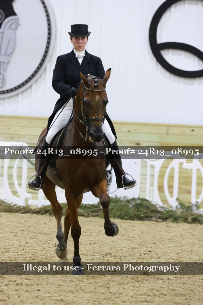 Proof 24R13_08995