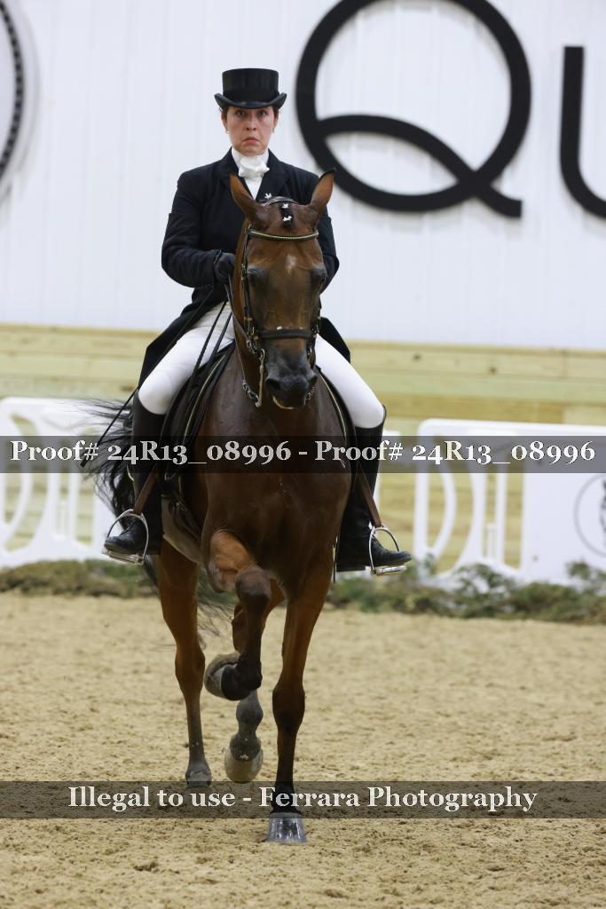 Proof 24R13_08996
