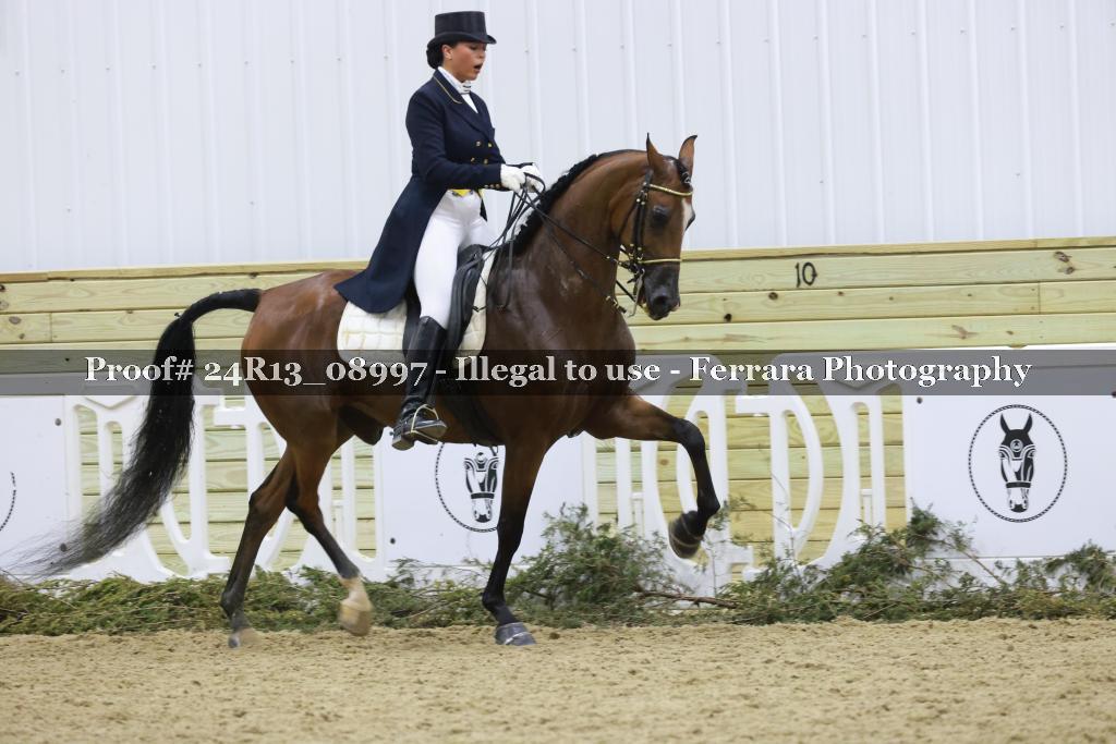 Proof 24R13_08997