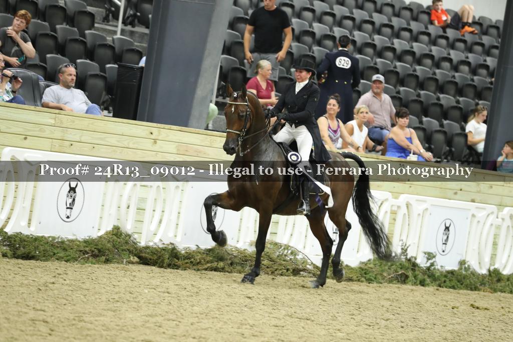 Proof 24R13_09012