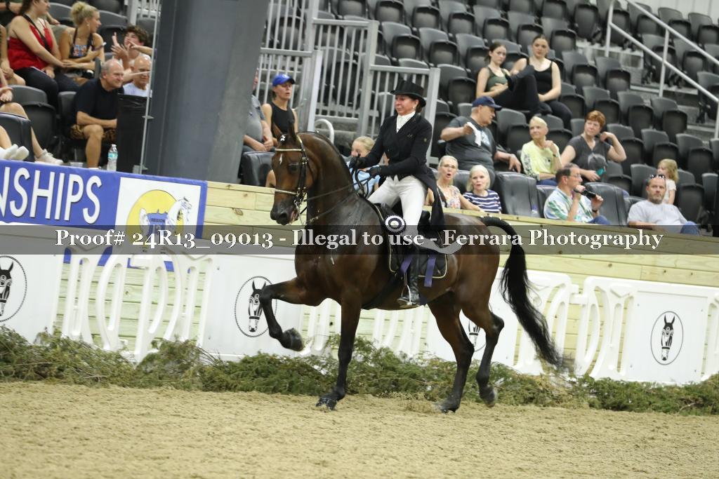 Proof 24R13_09013