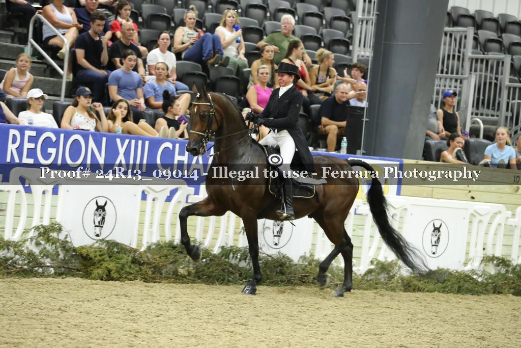 Proof 24R13_09014