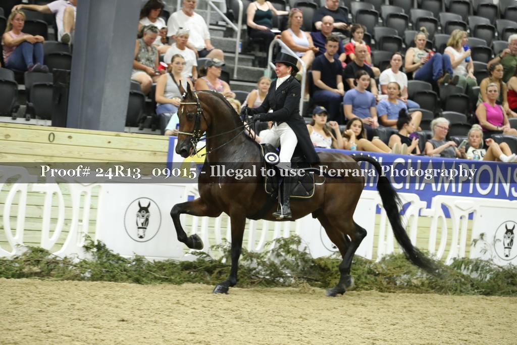Proof 24R13_09015