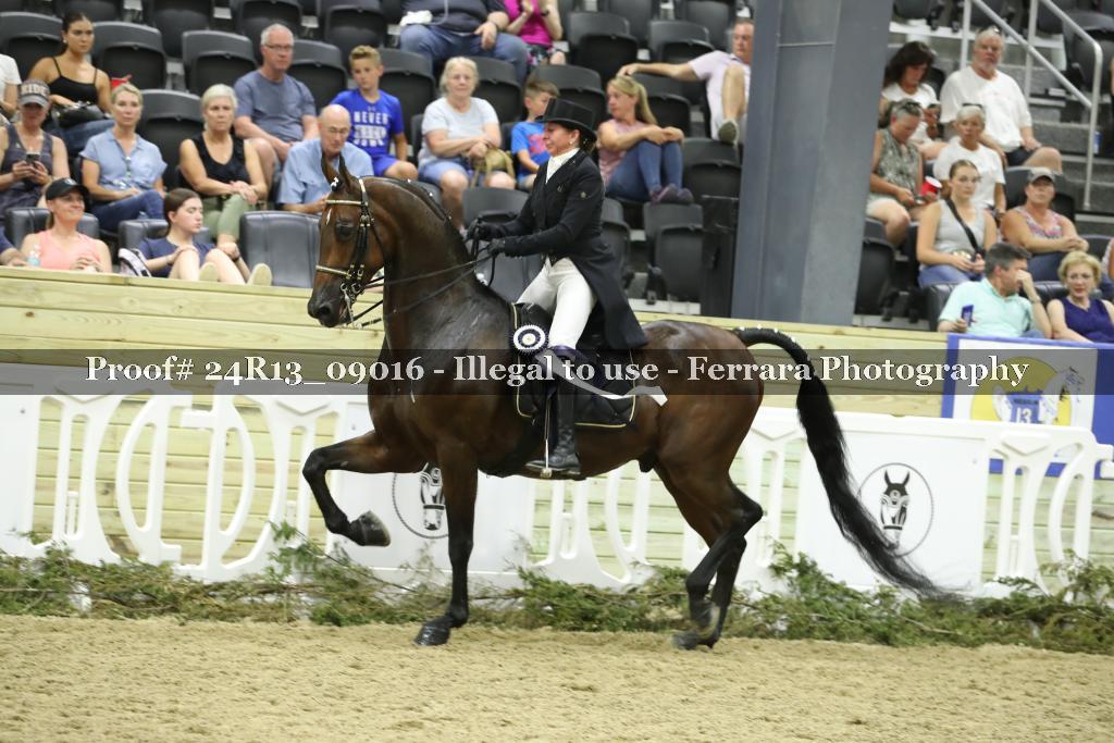 Proof 24R13_09016
