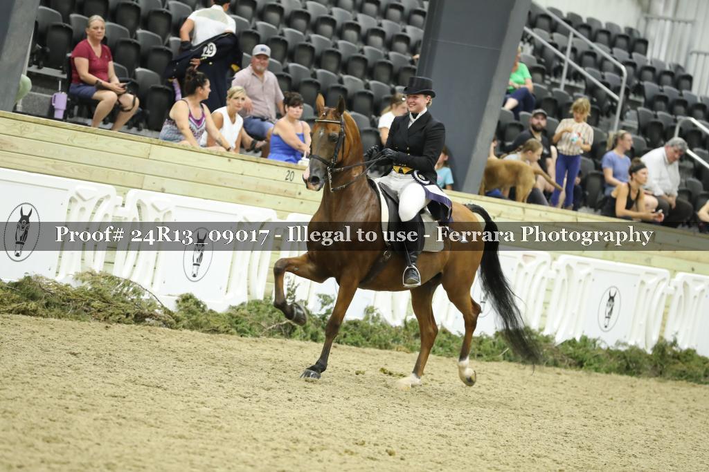 Proof 24R13_09017