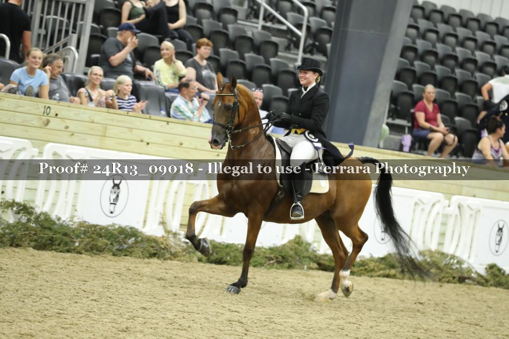 Proof 24R13_09018