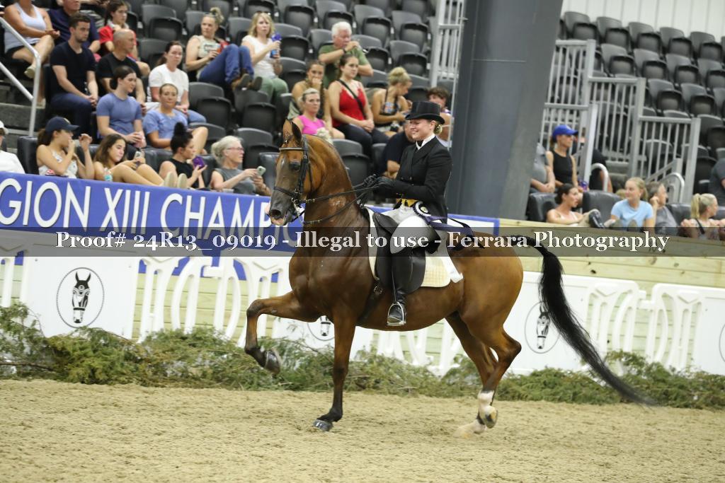 Proof 24R13_09019
