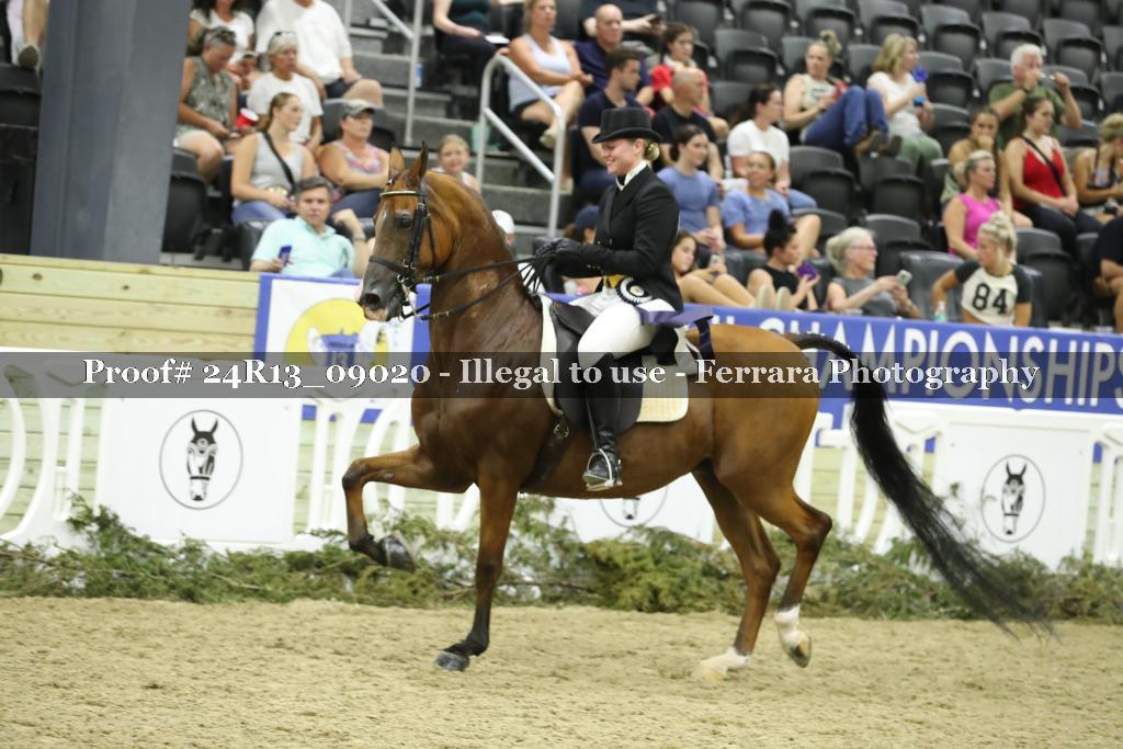 Proof 24R13_09020