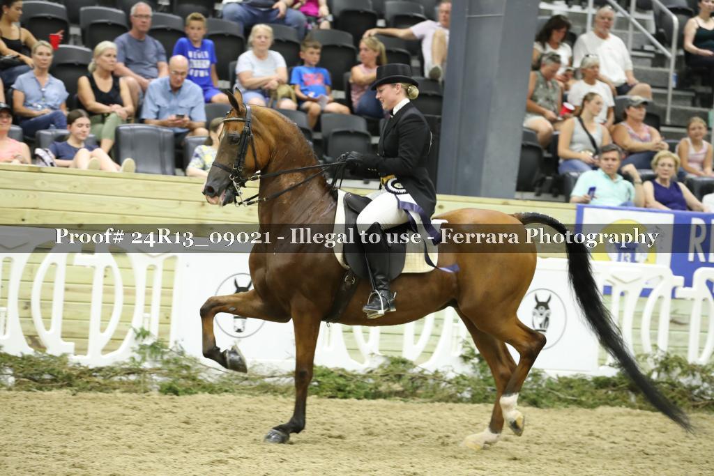 Proof 24R13_09021