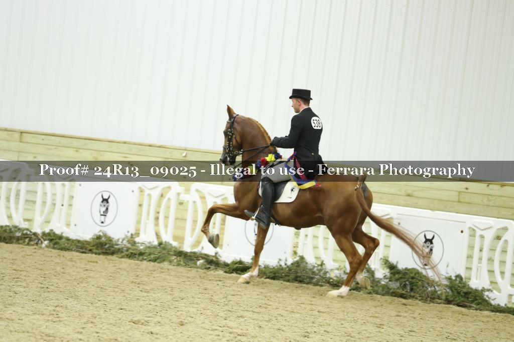Proof 24R13_09025