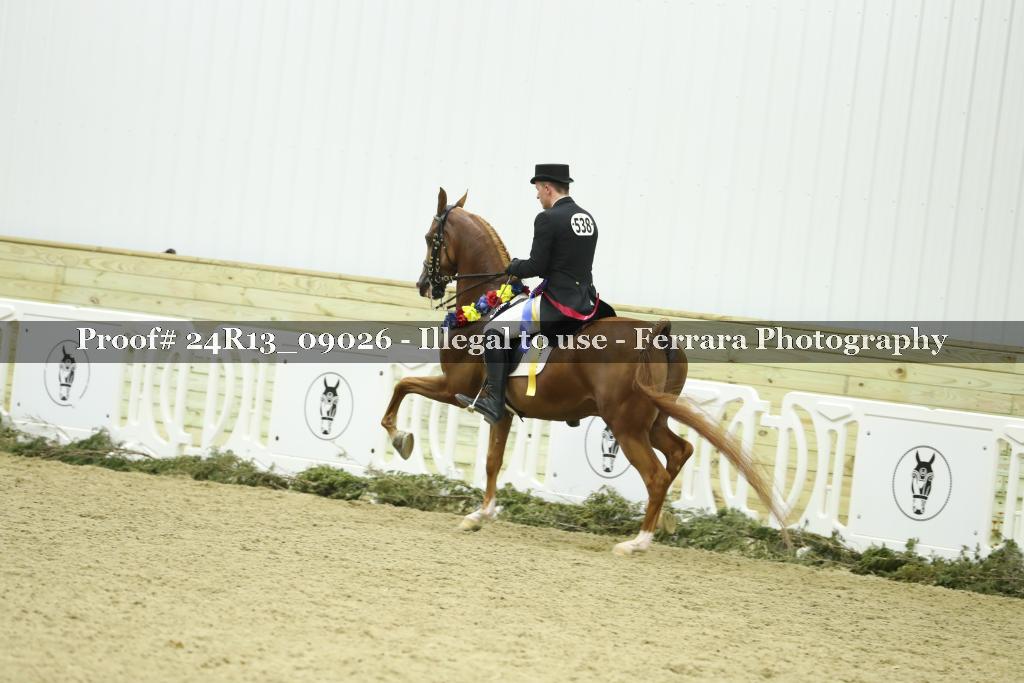 Proof 24R13_09026