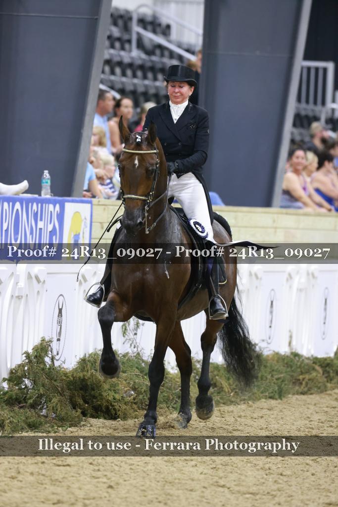 Proof 24R13_09027