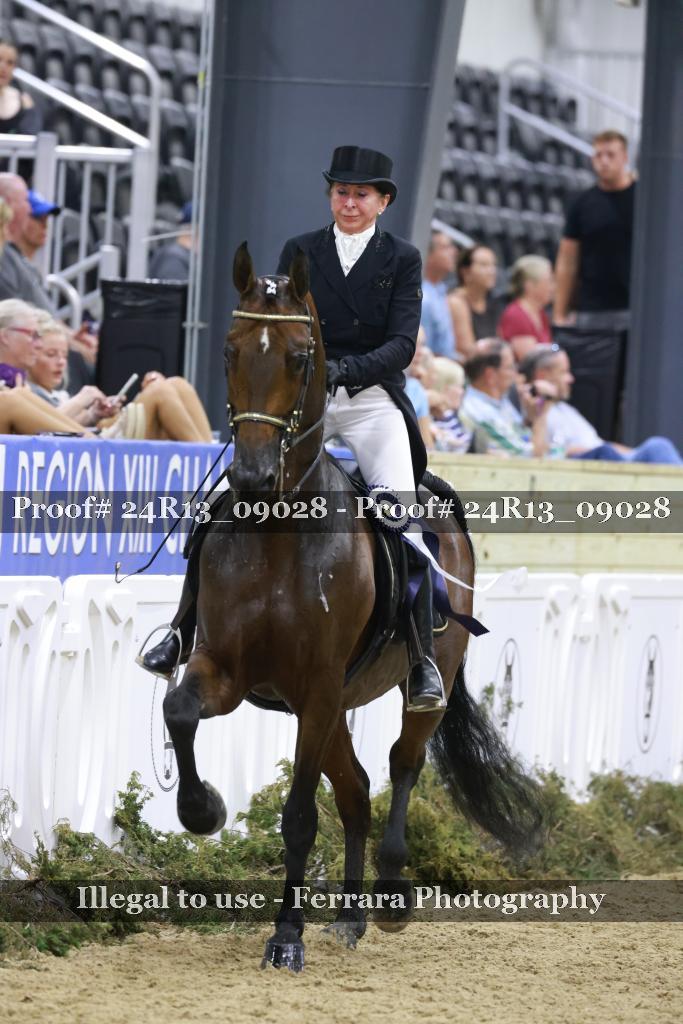 Proof 24R13_09028