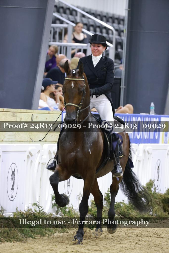 Proof 24R13_09029