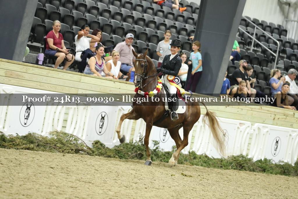Proof 24R13_09030