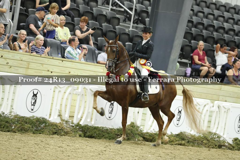 Proof 24R13_09031