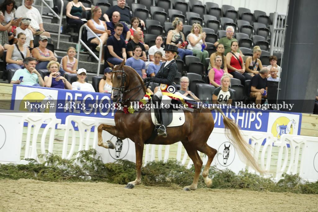Proof 24R13_09033