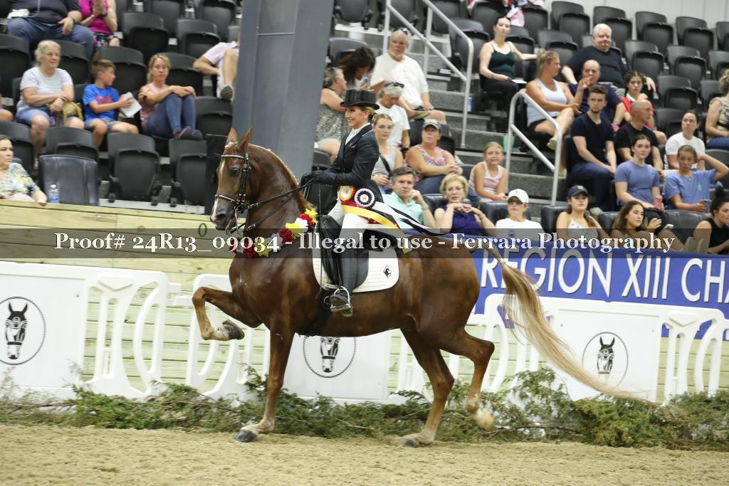 Proof 24R13_09034