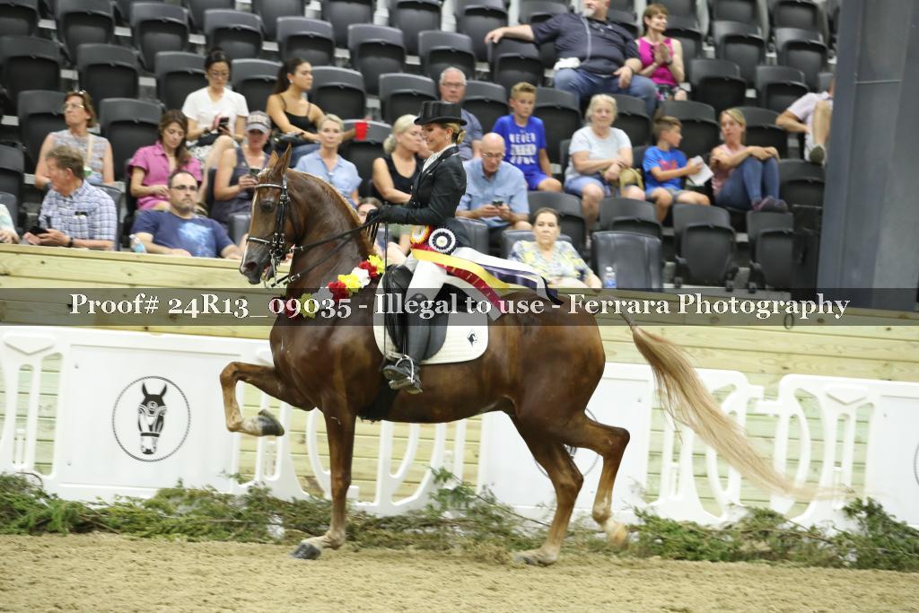 Proof 24R13_09035
