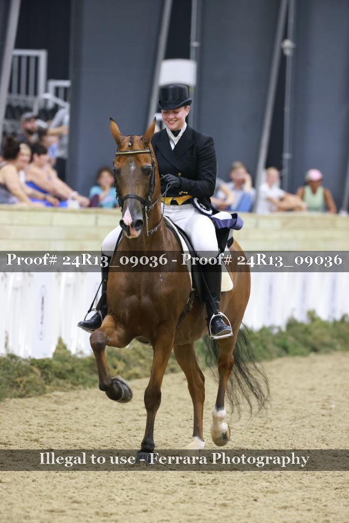 Proof 24R13_09036
