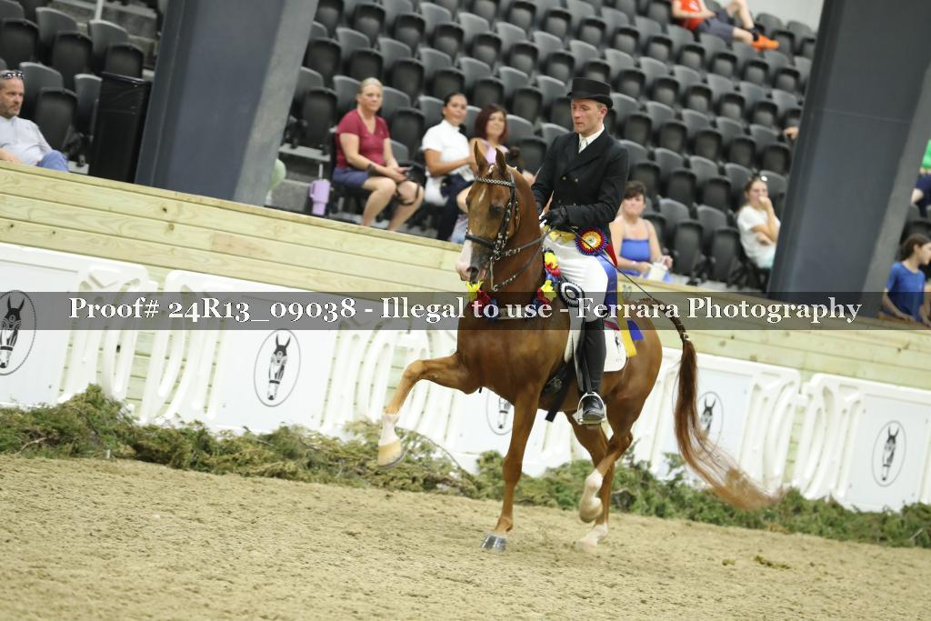 Proof 24R13_09038