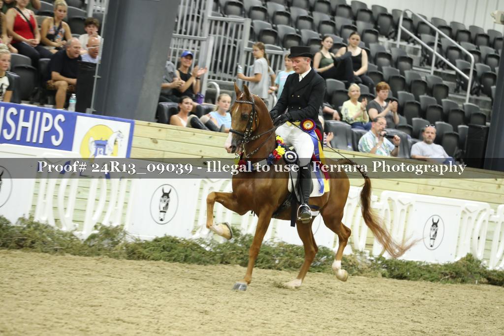 Proof 24R13_09039