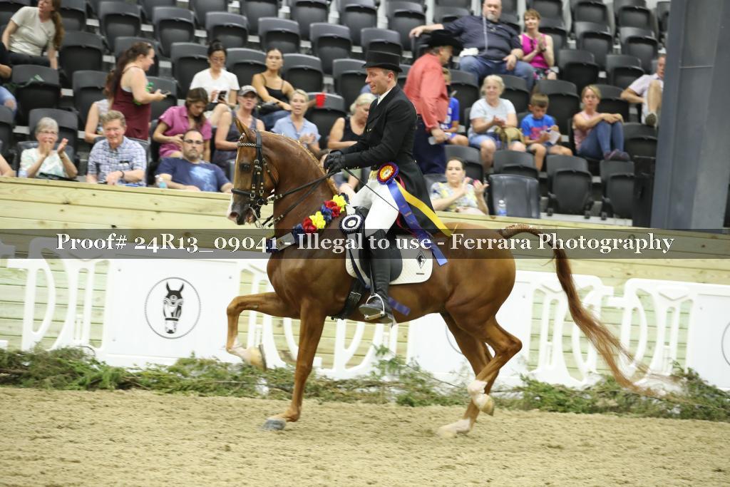 Proof 24R13_09041