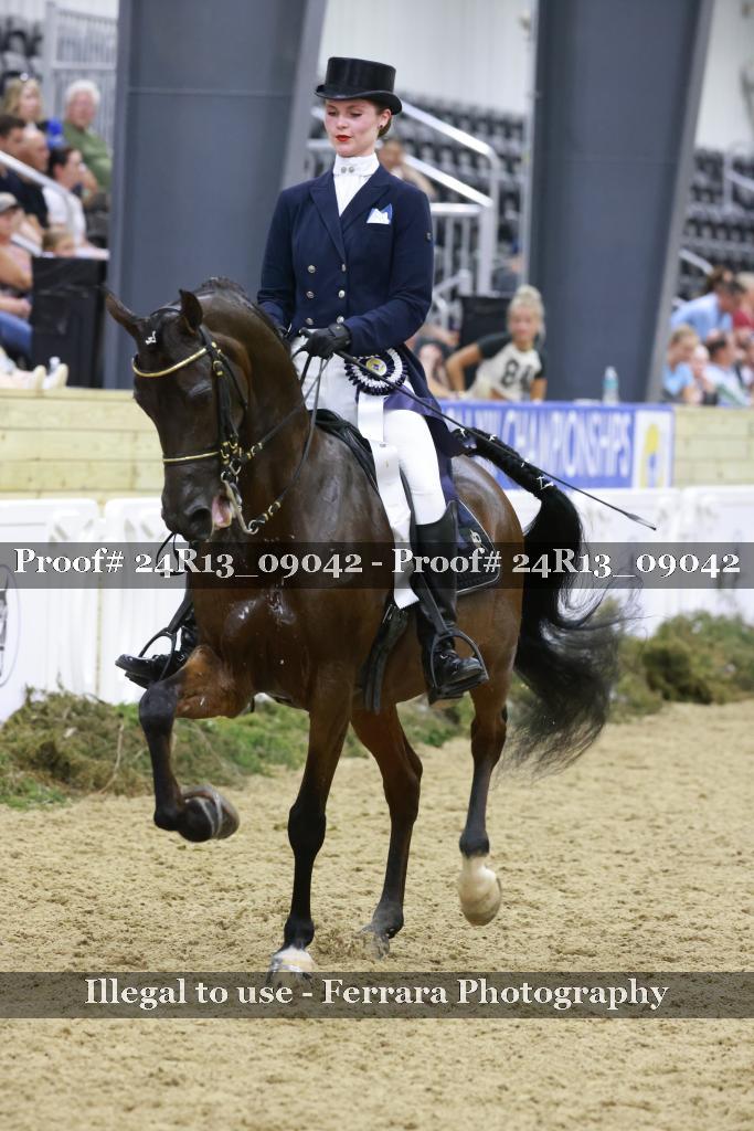 Proof 24R13_09042