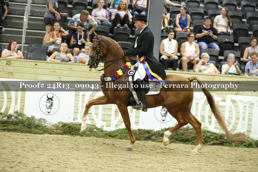 Proof 24R13_09043