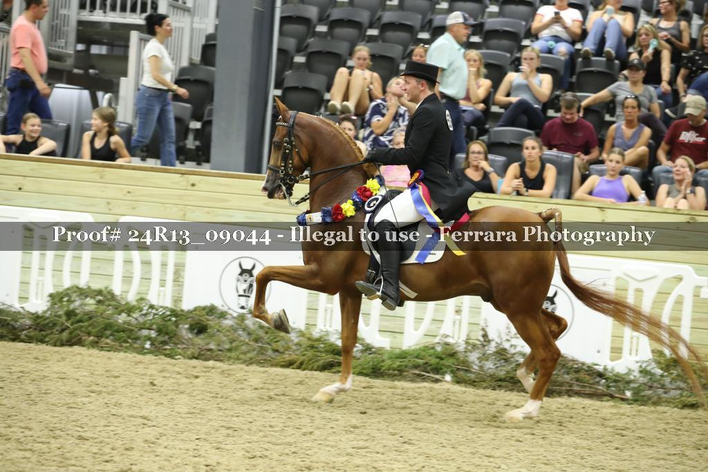Proof 24R13_09044