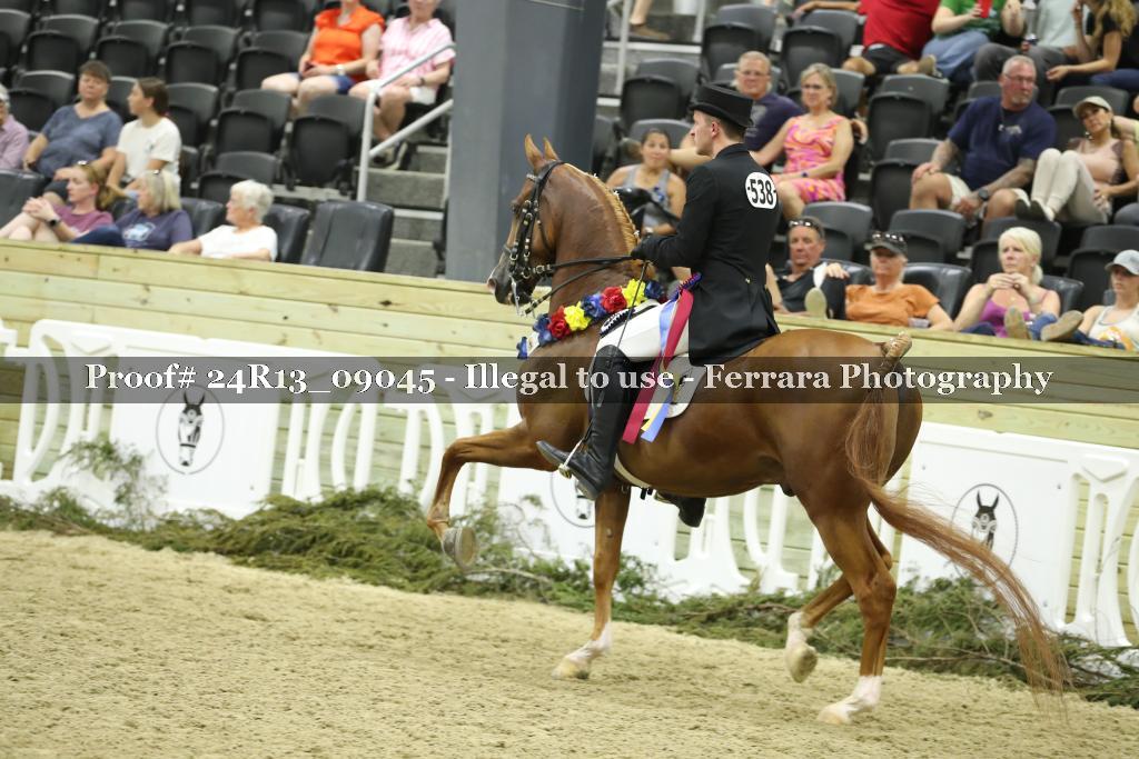 Proof 24R13_09045