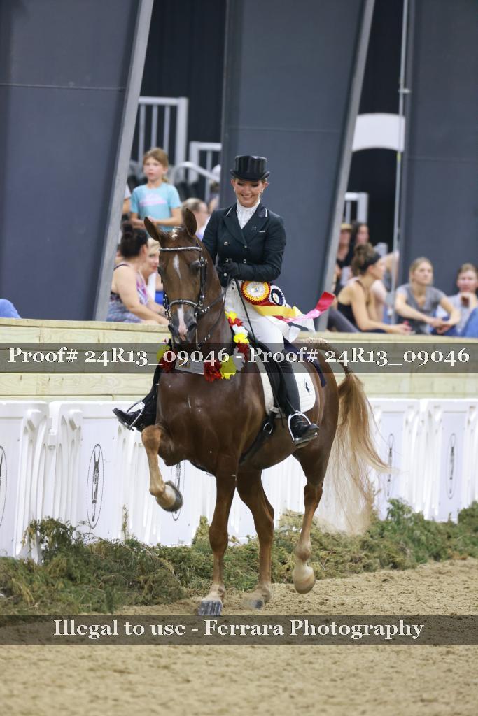 Proof 24R13_09046