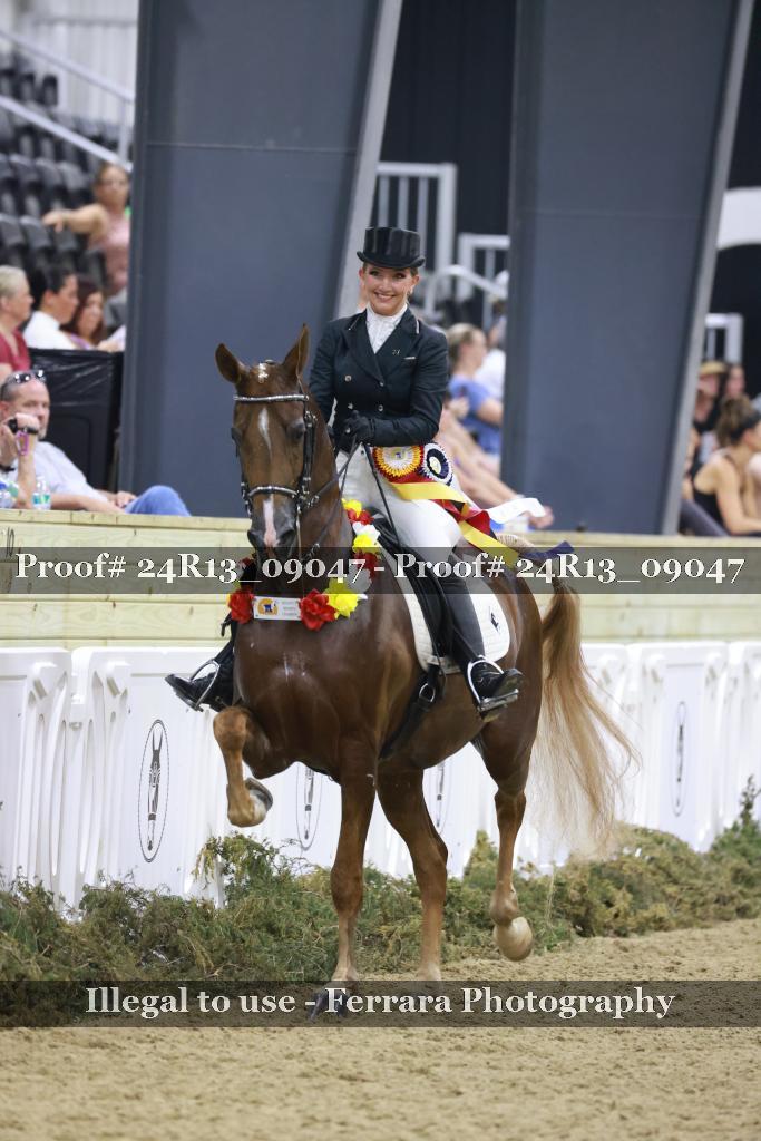 Proof 24R13_09047