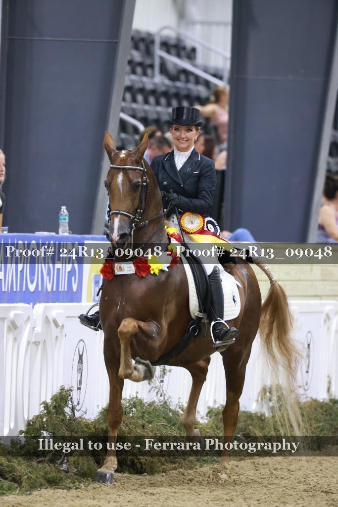 Proof 24R13_09048