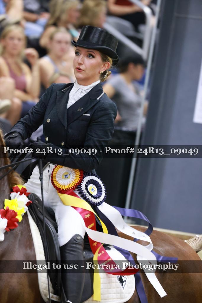 Proof 24R13_09049