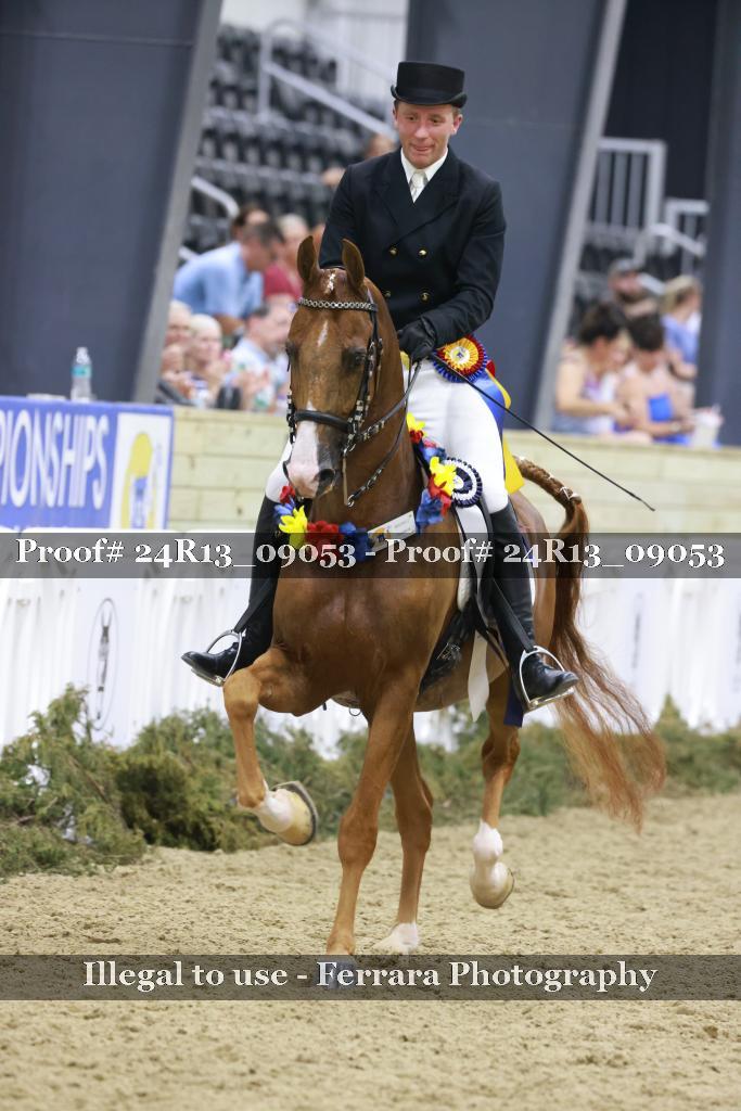 Proof 24R13_09053