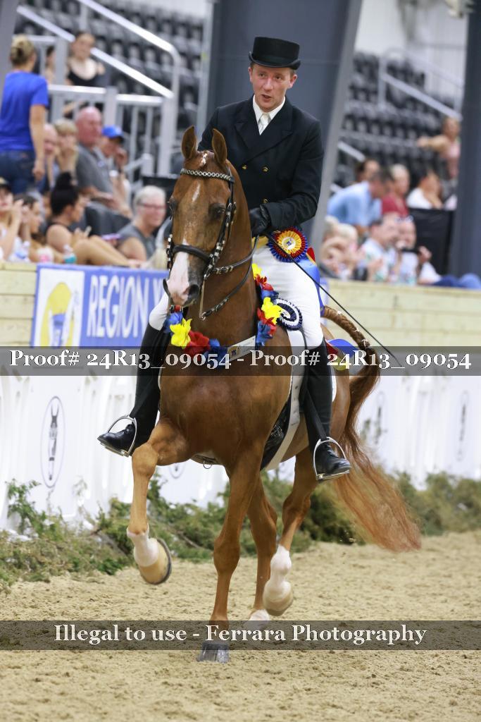Proof 24R13_09054