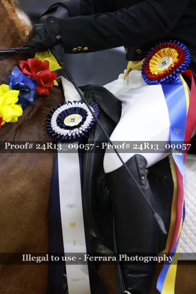 Proof 24R13_09057