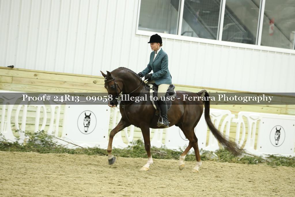 Proof 24R13_09058